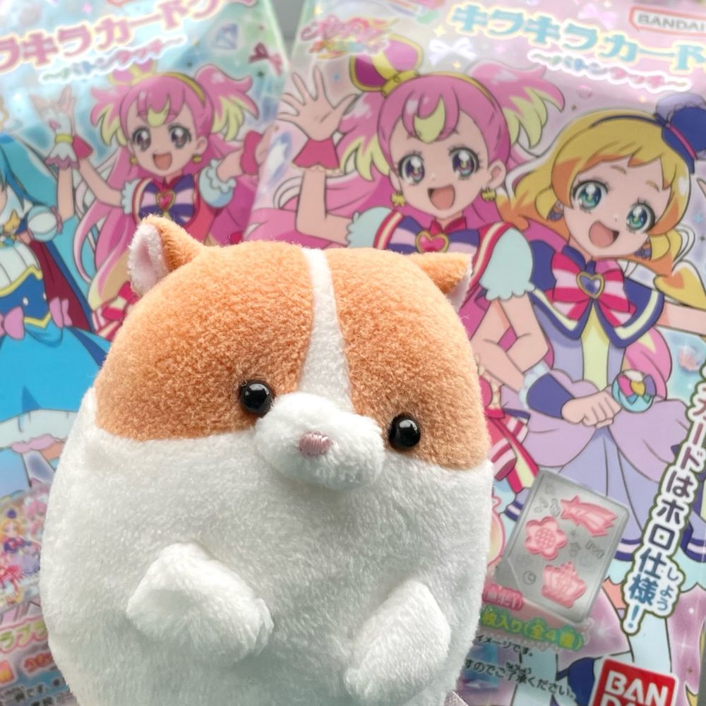胃袋