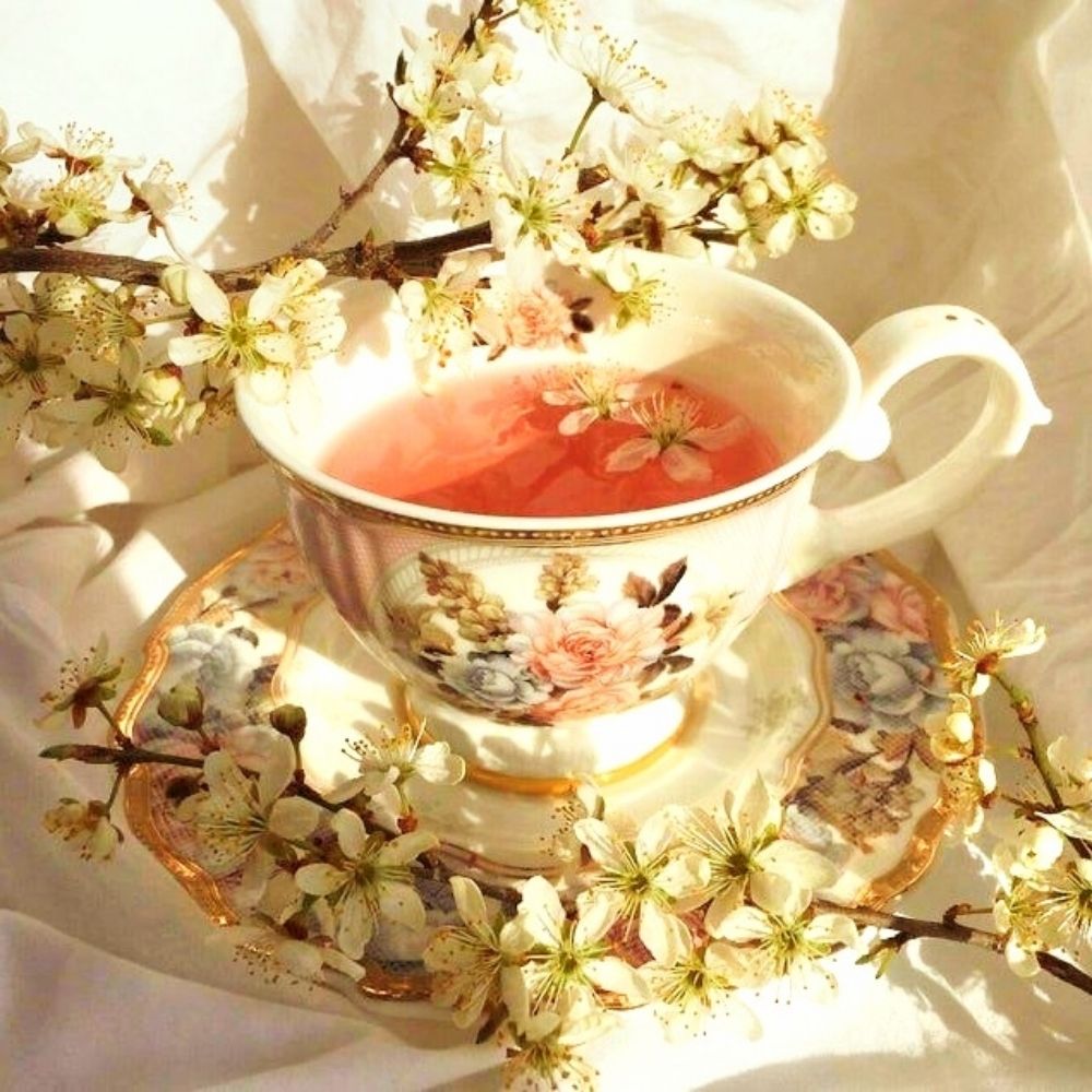 tea-cock☕️