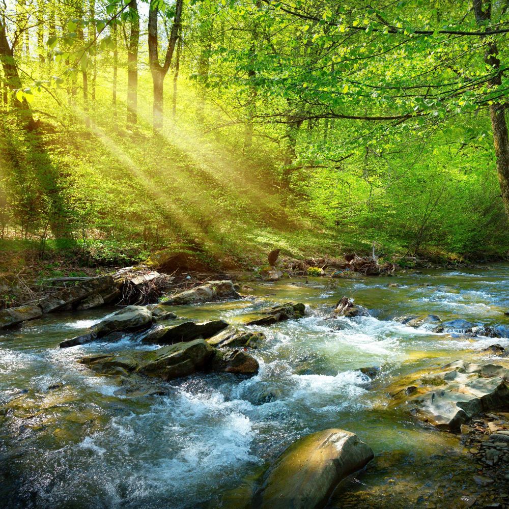 The River Rock Sagas