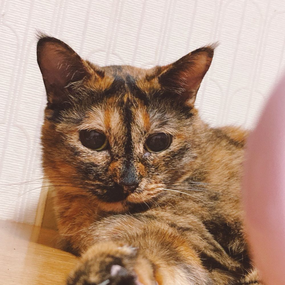 まる