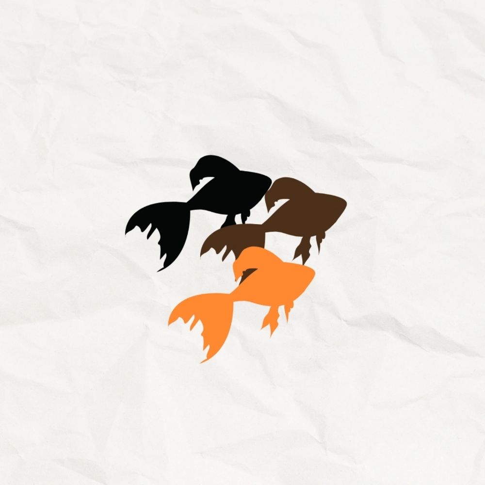 evolution