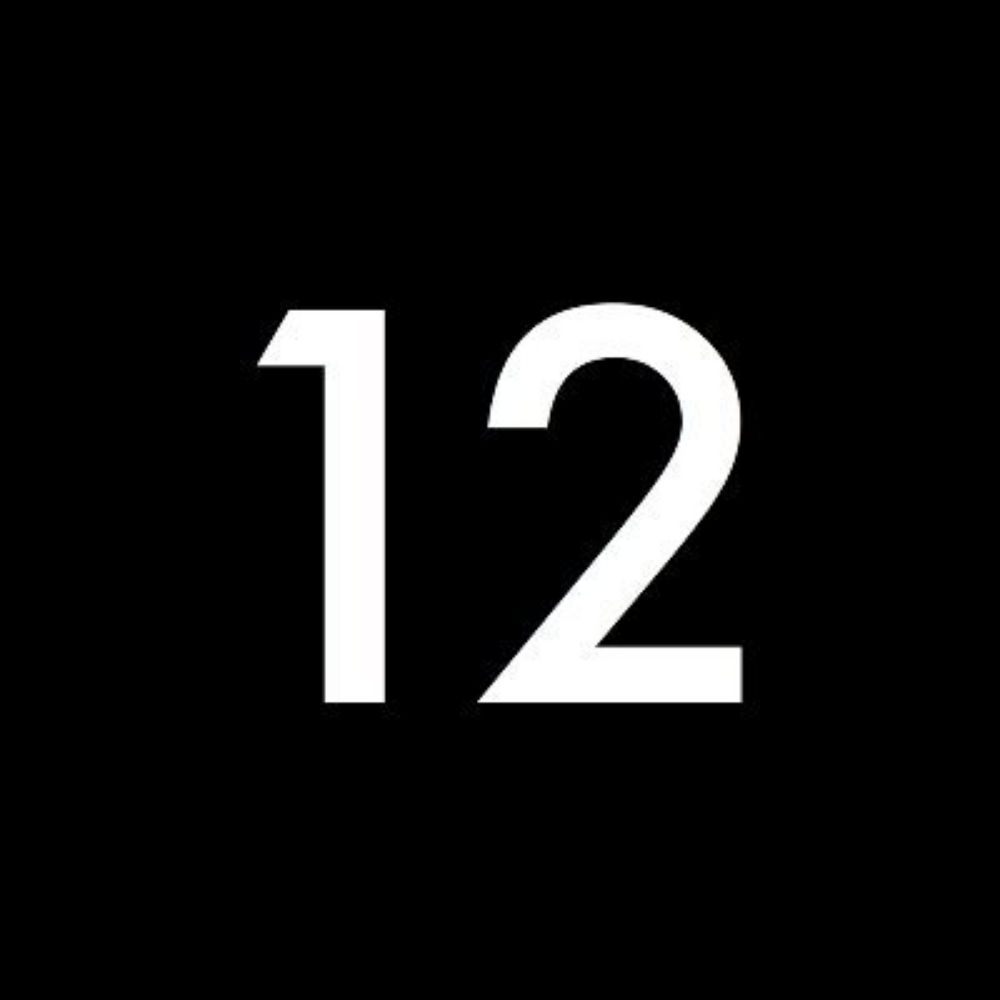 Trader 12