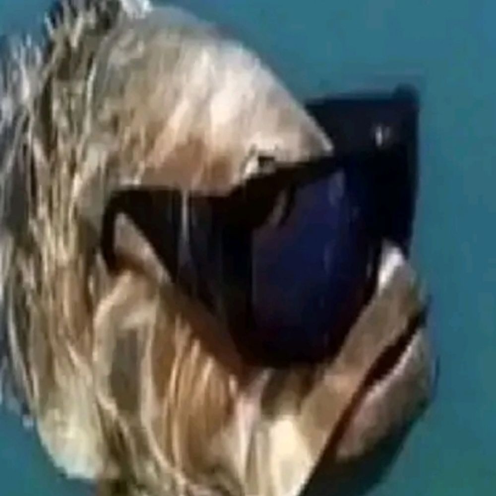 klepward
