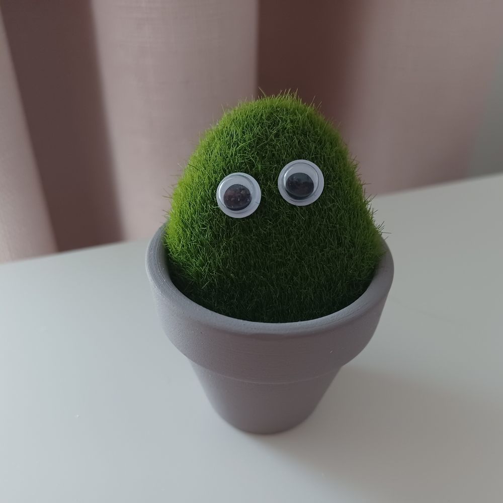 GooglyCactus