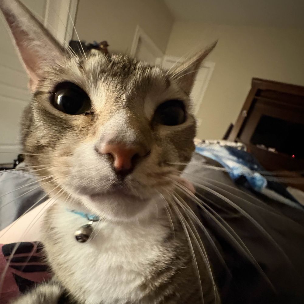 kal