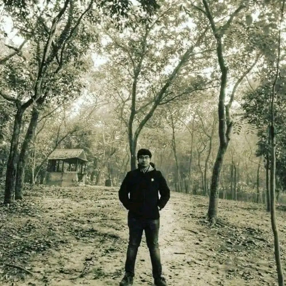 Arif Hossain