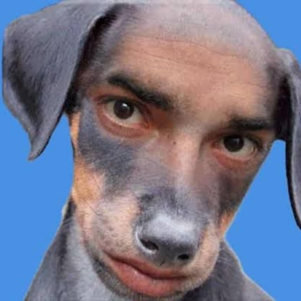 vintinho passa nada 🦫
