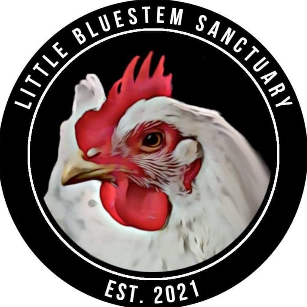Little Bluestem Sanctuary