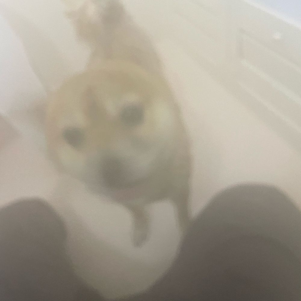 えにし　フォロバ100