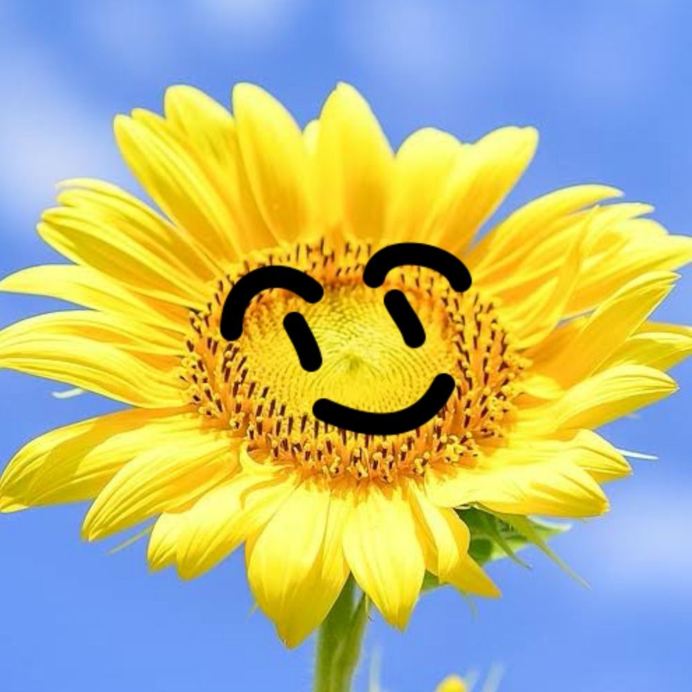 しーむー🌻楽天ROOM
