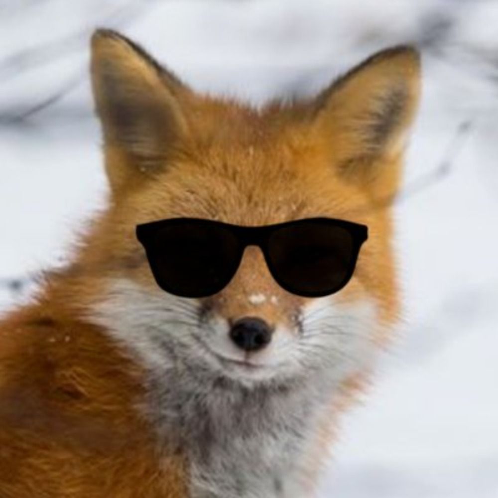 Robin Fox
