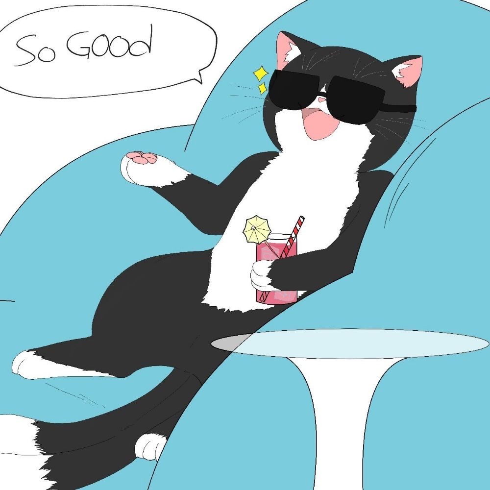 WowCat