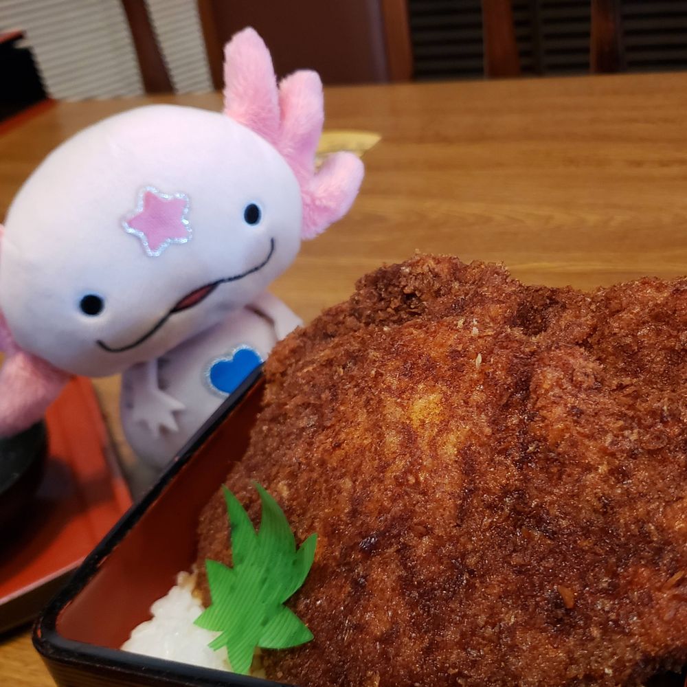 らいとすとーん