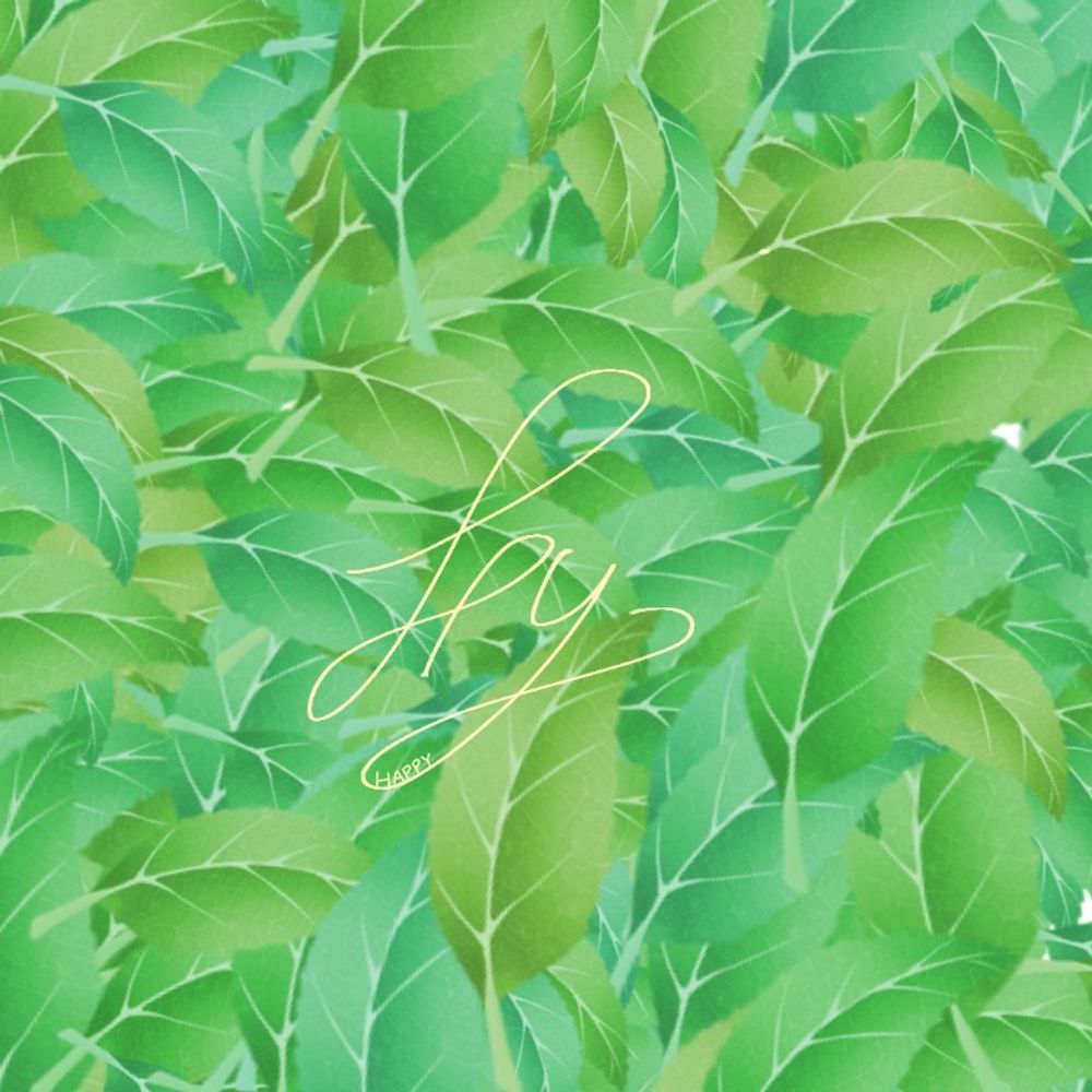 hpp