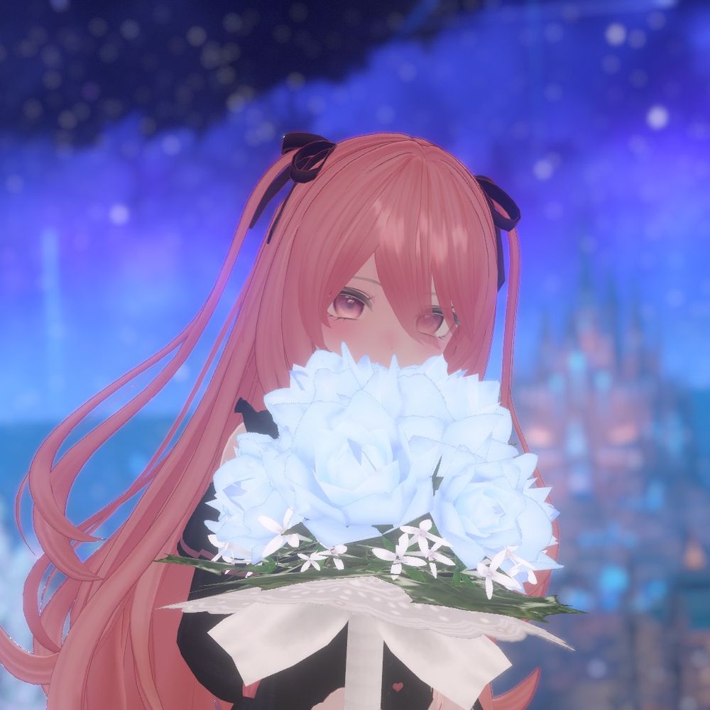 高坂希🕊🌷