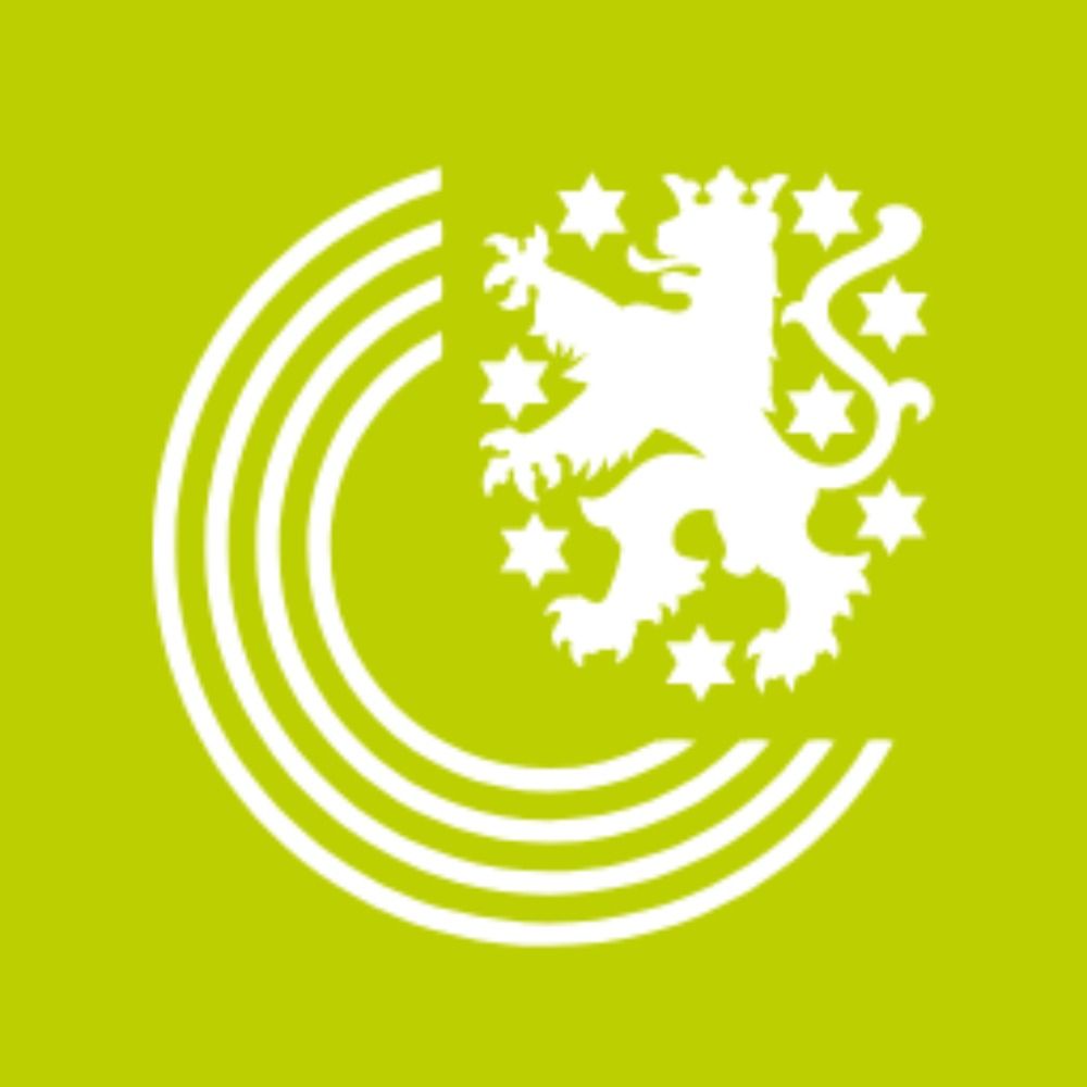 Thüringer Landtag 's avatar