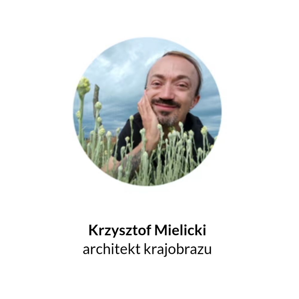 Krzysztof Mielicki