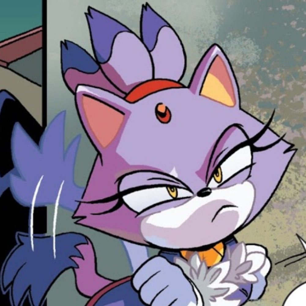 #1 Blaze The Cat Fan