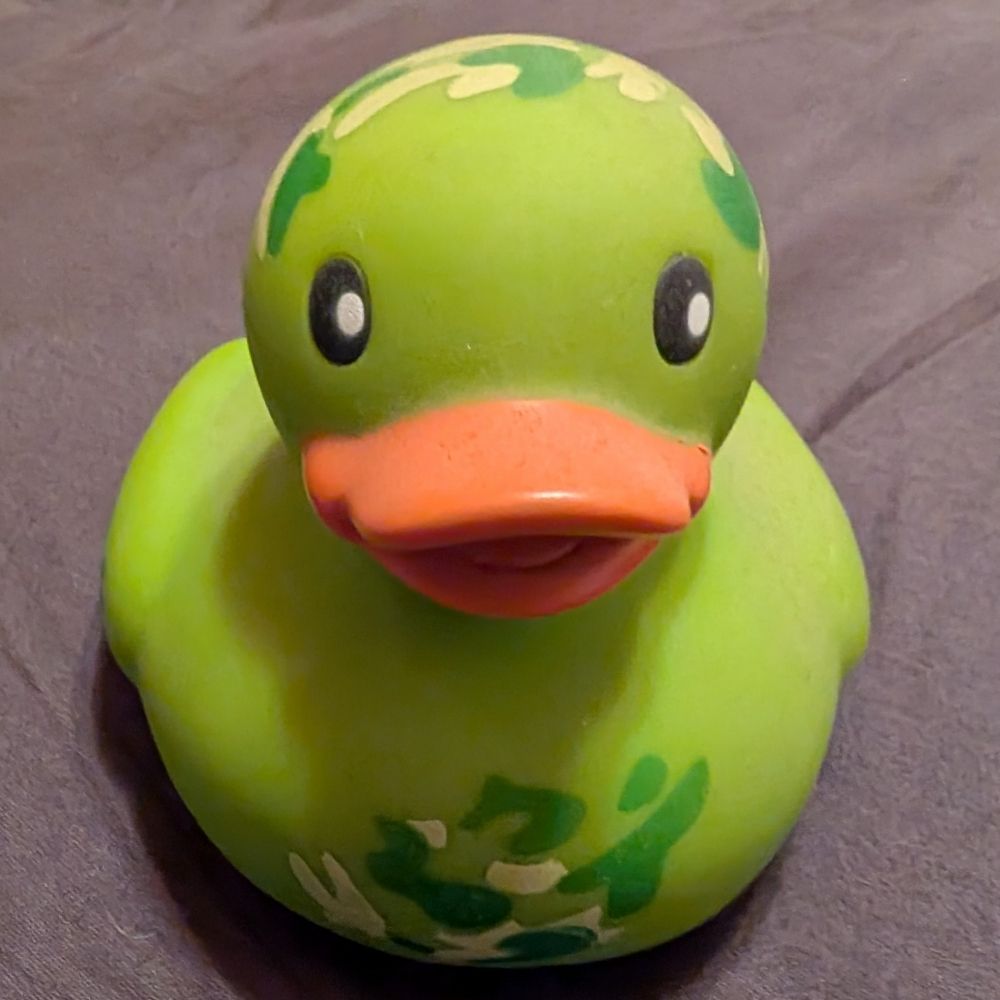 Rob