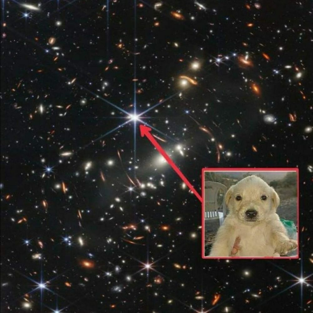 Andromeda