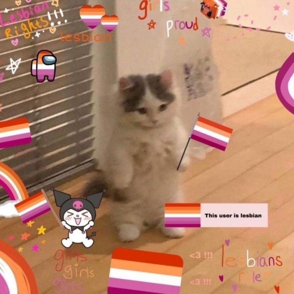 Belaa🏳️‍🌈