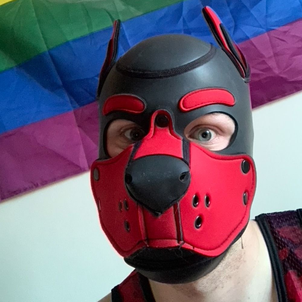 Pup Chip
