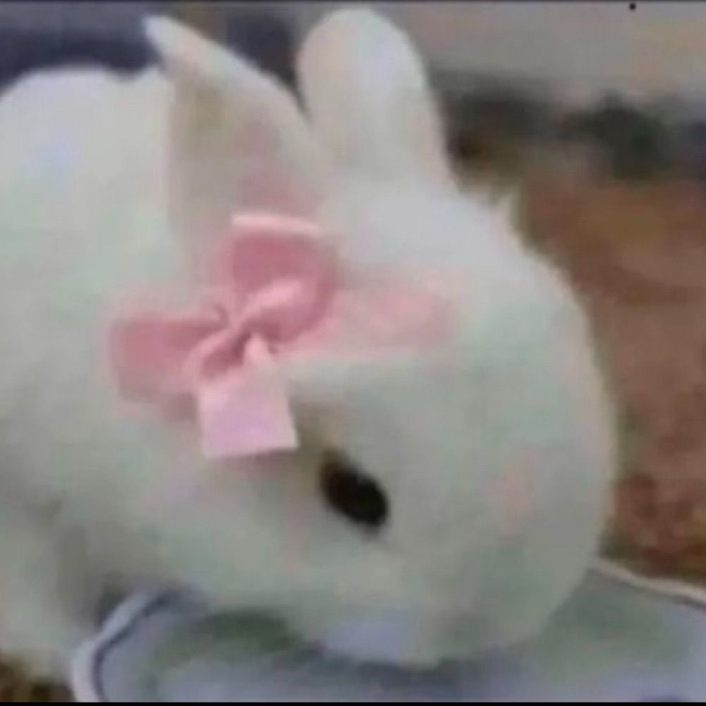 bunny stohlman