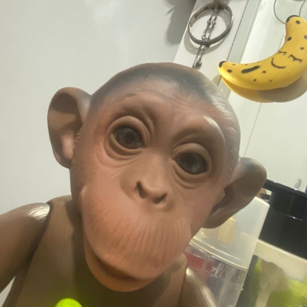 CapitaoCuAssado