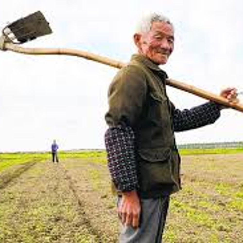 Chinese Peasant