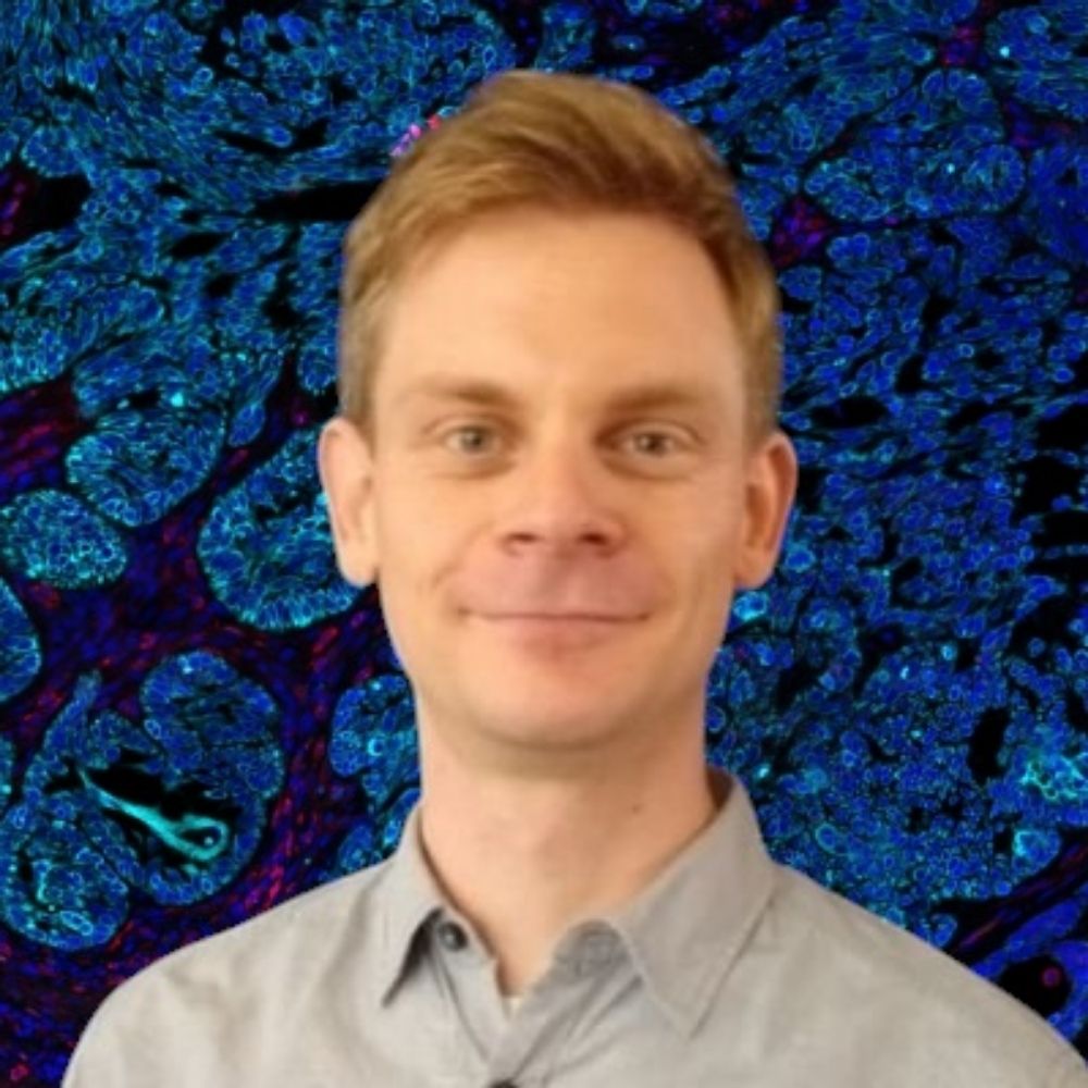 Peter Krenn