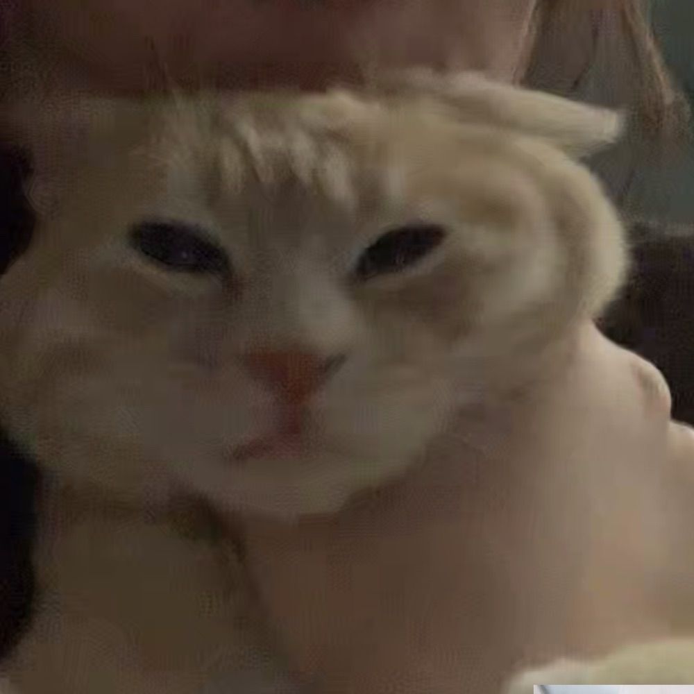 土豆丝