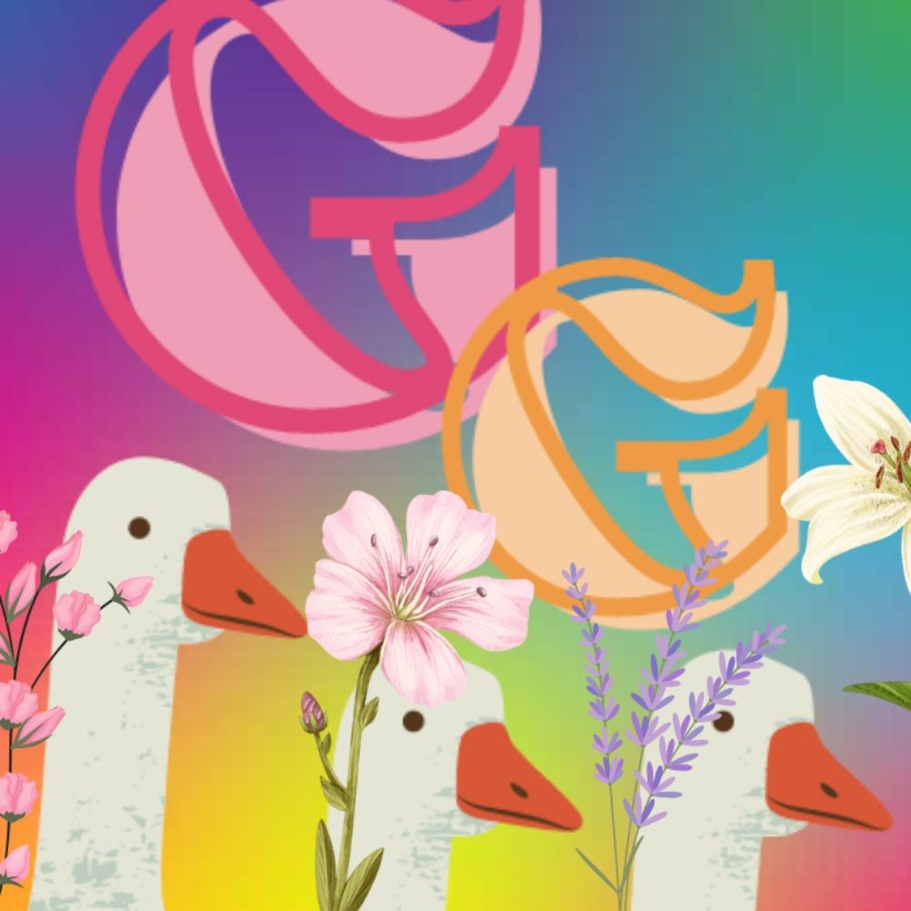 Geese Goose Shop