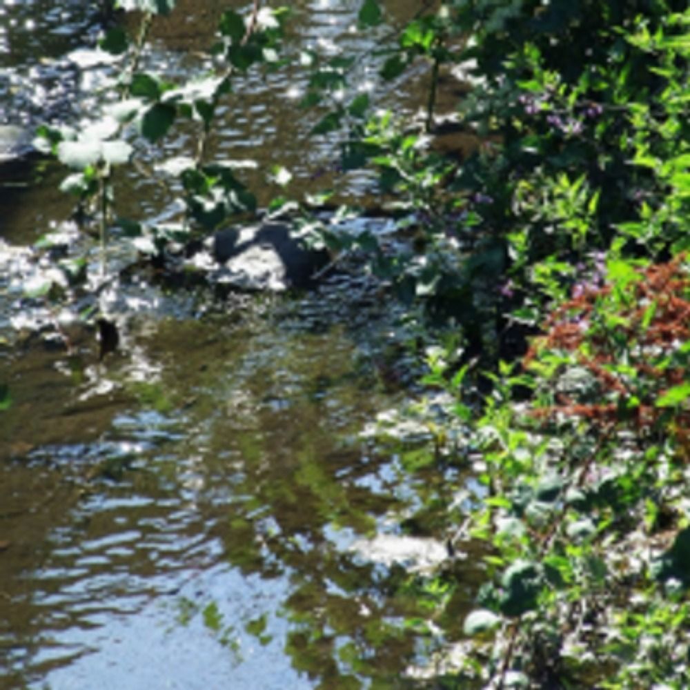 Sparklecreek