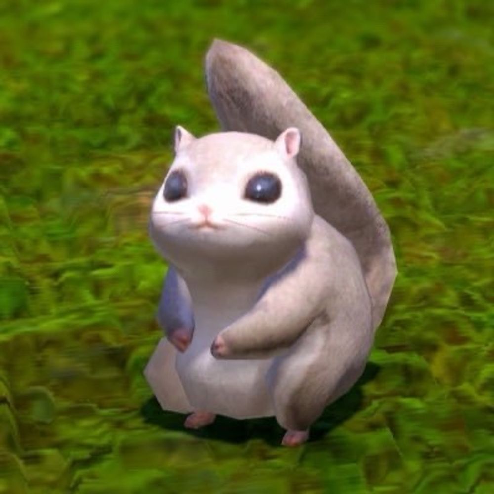 hyu mimimi