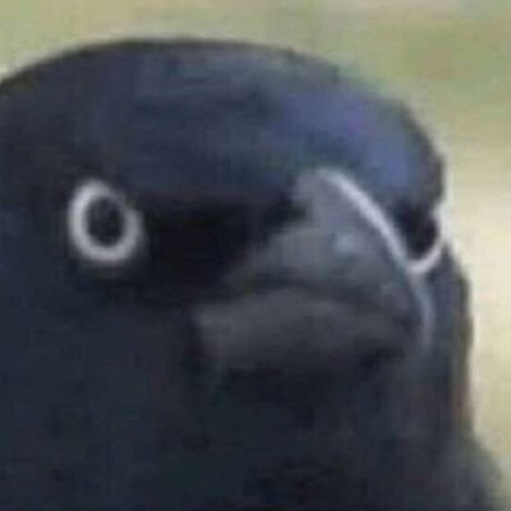 crow