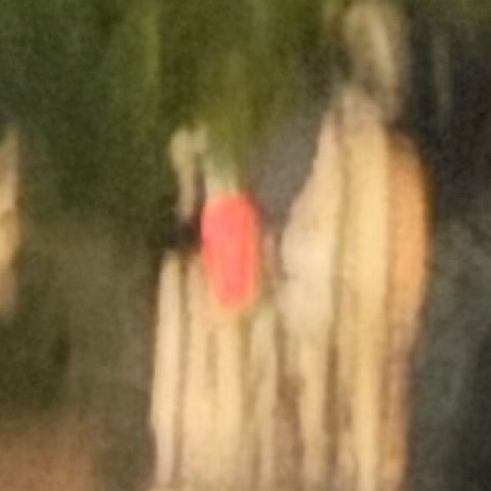 ミ