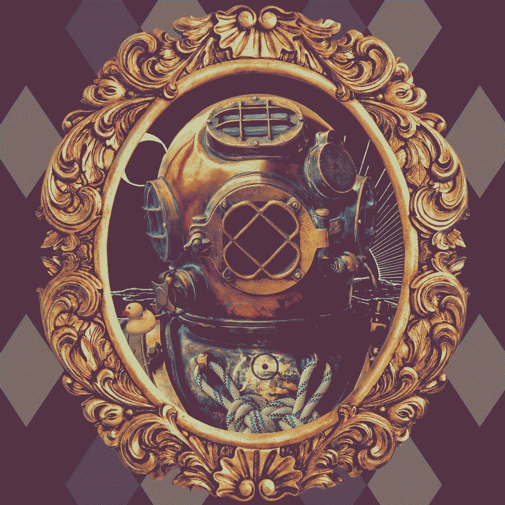 Harlequin Diver