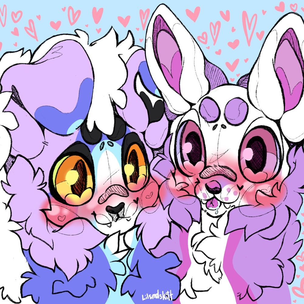 Lil Kitt and Big Socks
