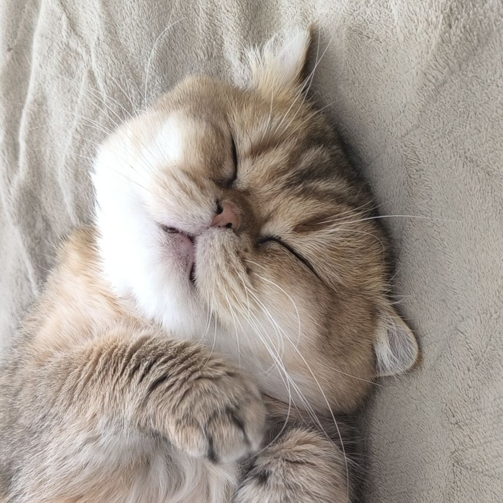 Lili