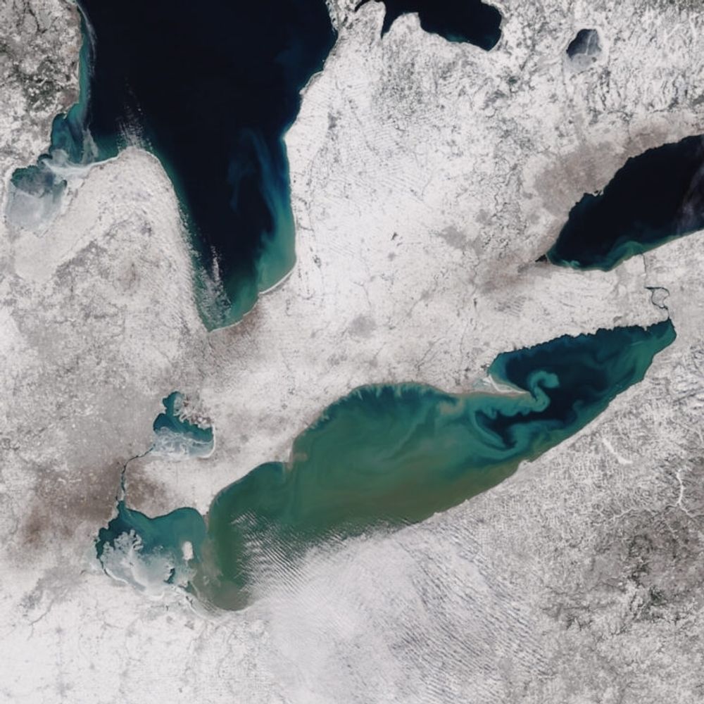 Lake Erie! Live!