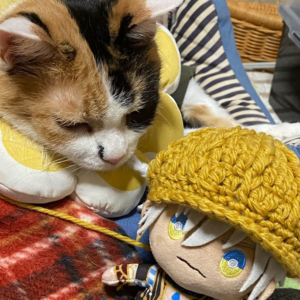 笹木けい