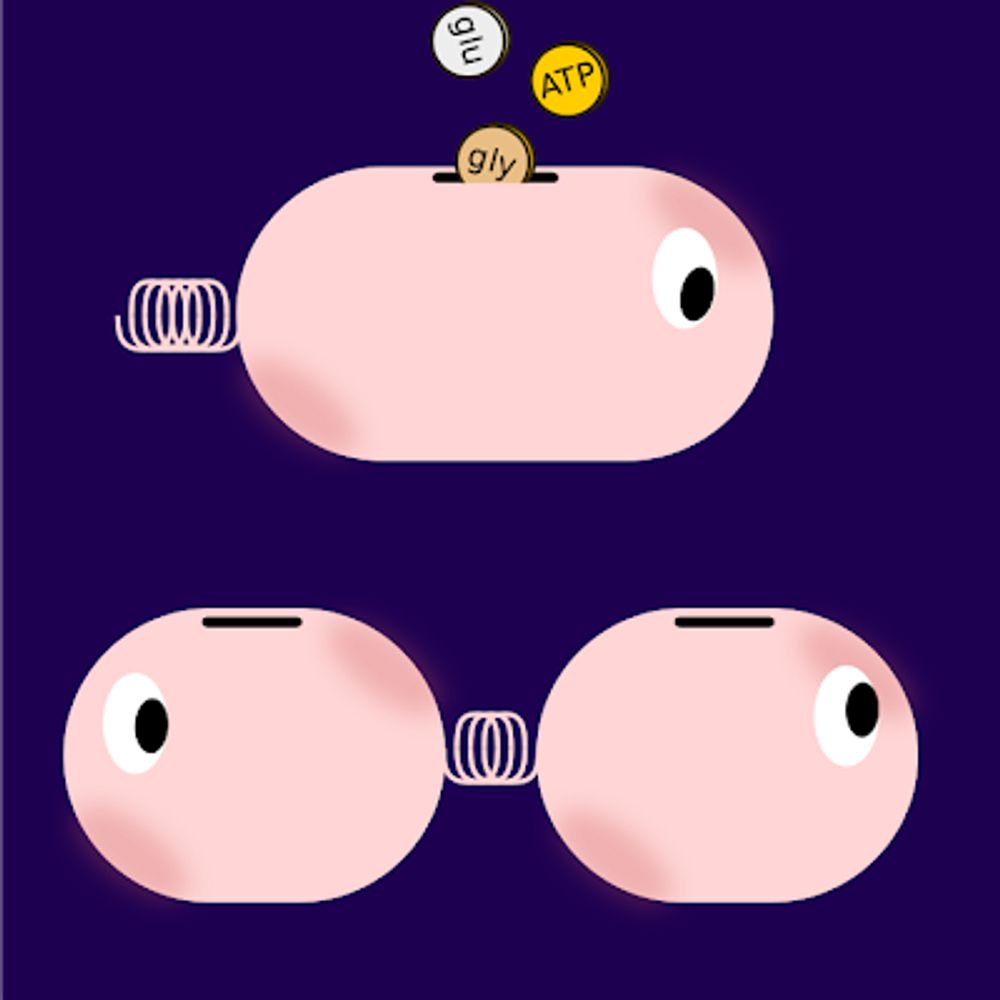 Economic Principles in Cell Biology