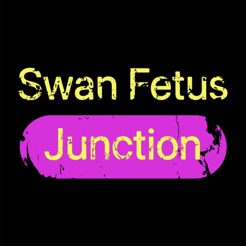 Swan Fetus Junction