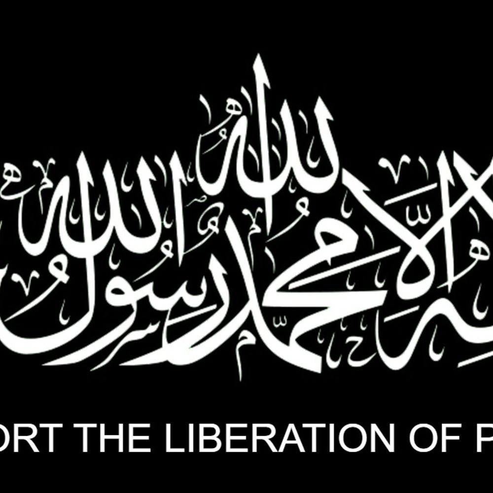 Freedom Figher