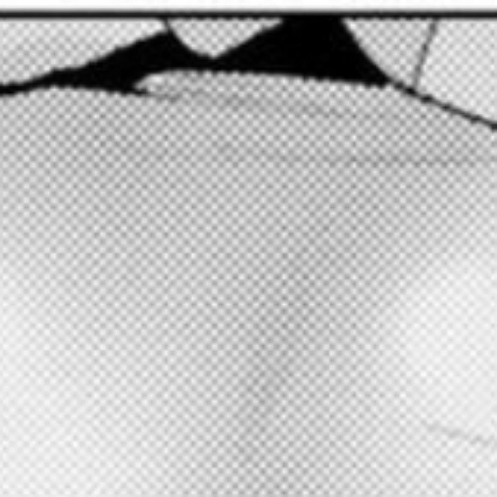 なれはて