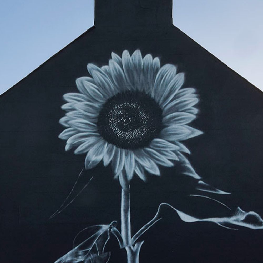 emic