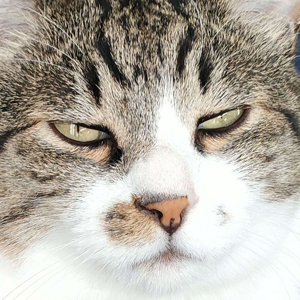 まめたろ😺