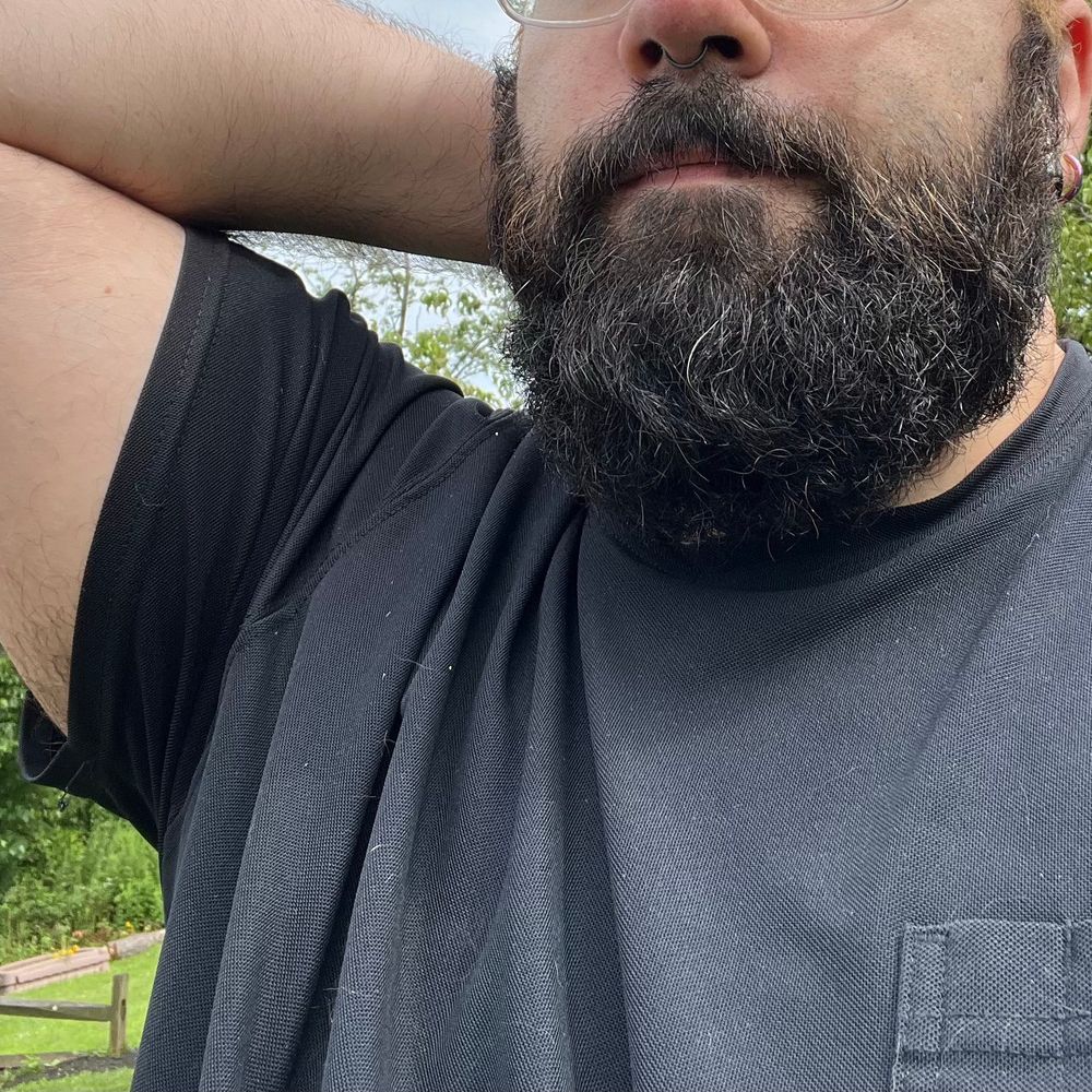 🐻🐻