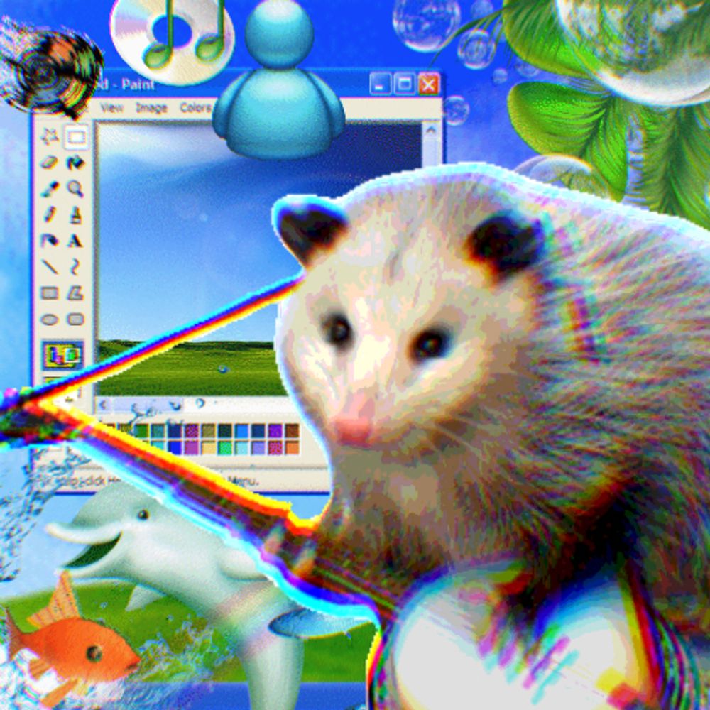 Possum
