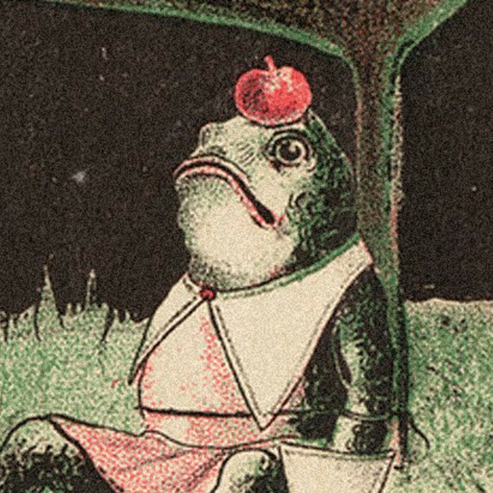 Weird Frog Guy